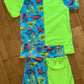 Retro Dino set